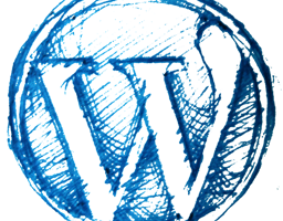 Hulp bij je WordPress website